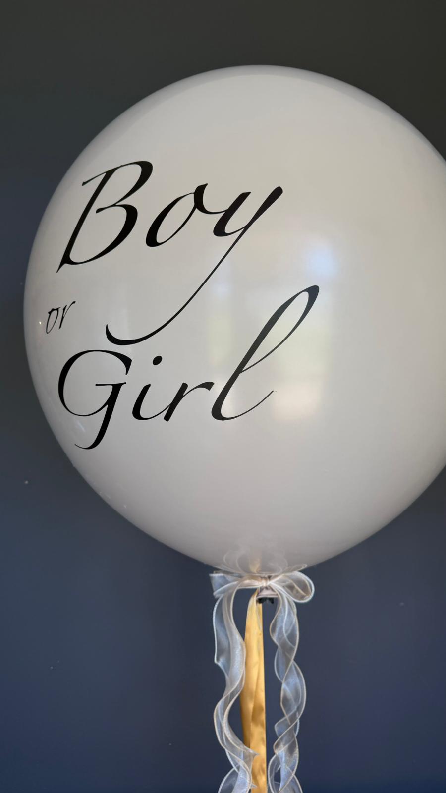 Gender Reveal Party Dekoration in Bremen — STARSPACE